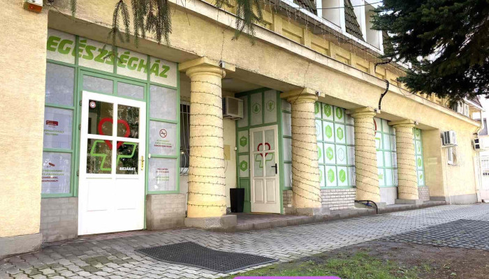 Egeszseghaz A Tulajdonostol - Dunaújváros