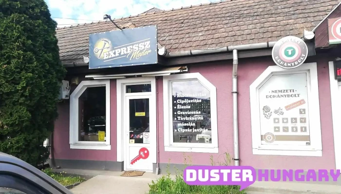 Expressz Mester -  A Tulajdonostol - Pécel