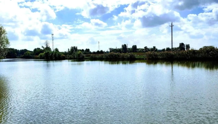 Fegyverneki -  Holt Tisza Cim - Hungary