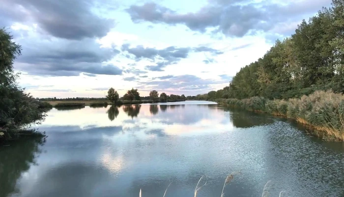 Fegyverneki -  Holt Tisza Hozzaszolasok - Hungary