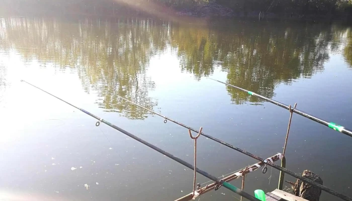 Fegyverneki -  Holt Tisza Menetrend - Hungary
