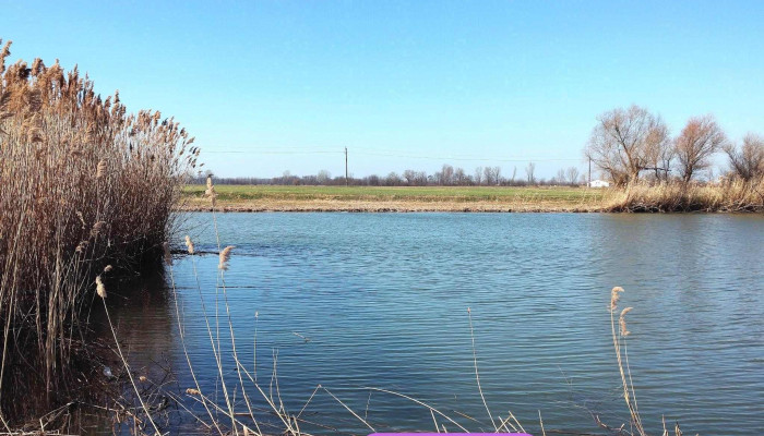 Fegyverneki -  Holt Tisza Osszes - Hungary