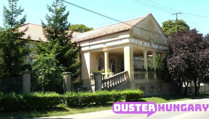Fejer Megyei Integralt Szocialis Intezet   Mezoszilasi Telephely Osszes - Mezőszilas