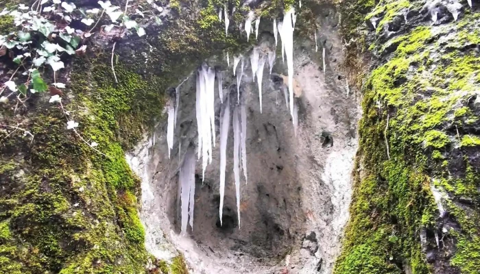 Felsotarkany Osszes - Felsőtárkány
