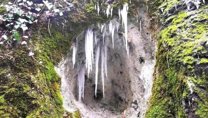 Felsőtárkány - Felsőtárkány