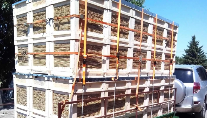 Filo Es Tarsa Bt Hozzaszolasok - Békéscsaba
