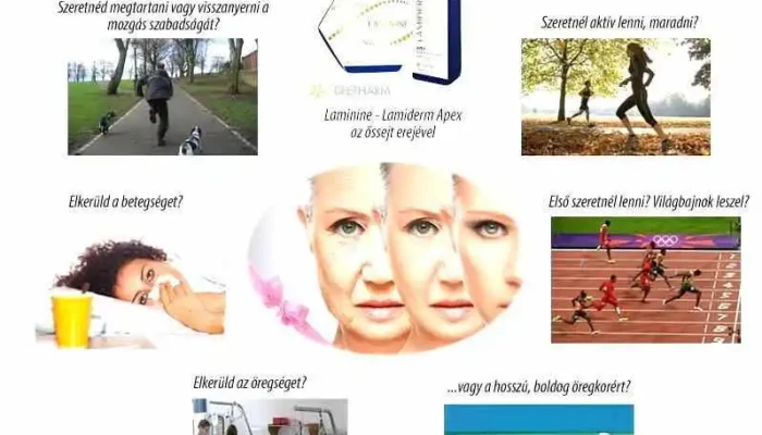 Fittsejtpatika -  A Tulajdonostol - Baja