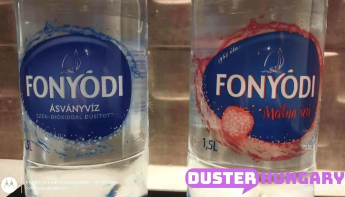 Fonyódi Ásványvíz Kft. - Fonyód