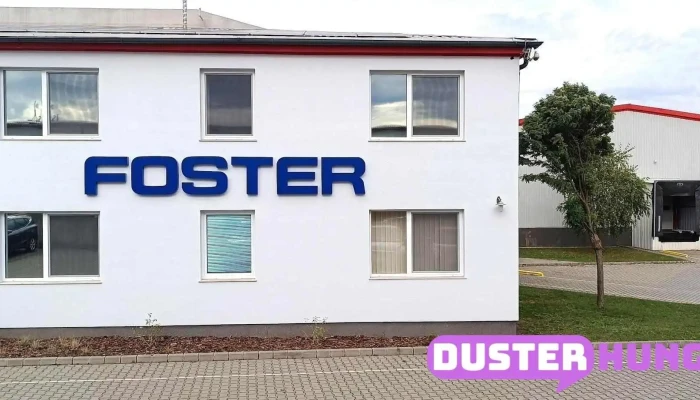 Foster Electric Hungary Kft A Tulajdonostol - Mór