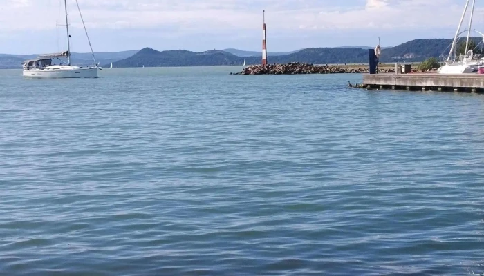 Galamb -  Sziget Instagram - Balatonföldvár