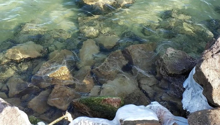 Galamb -  Sziget Nyitva Most - Balatonföldvár