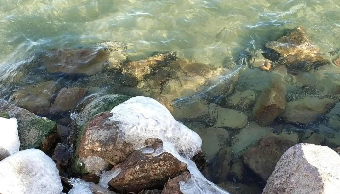 Galamb -  Sziget Pontszam - Balatonföldvár