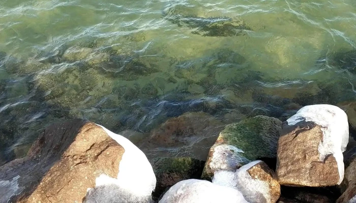 Galamb -  Sziget Weboldal - Balatonföldvár