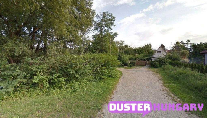 Gassler Zoltán - Mosonmagyaróvár