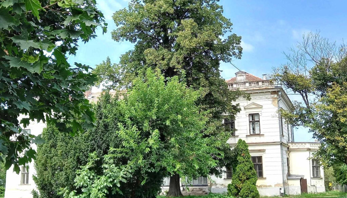 Gencsy -  Kastely Balkany Balkany - Balkány
