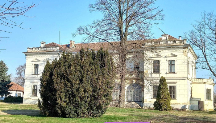 Gencsy -  Kastely Balkany Kert - Balkány