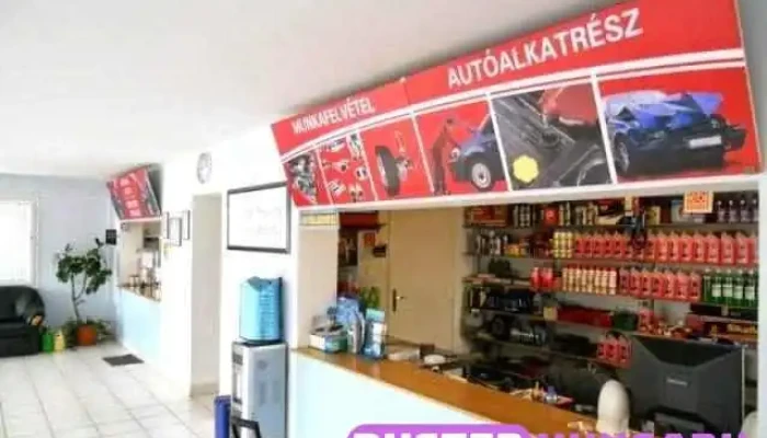 Gepaszauto Kft A Tulajdonostol - Szolnok