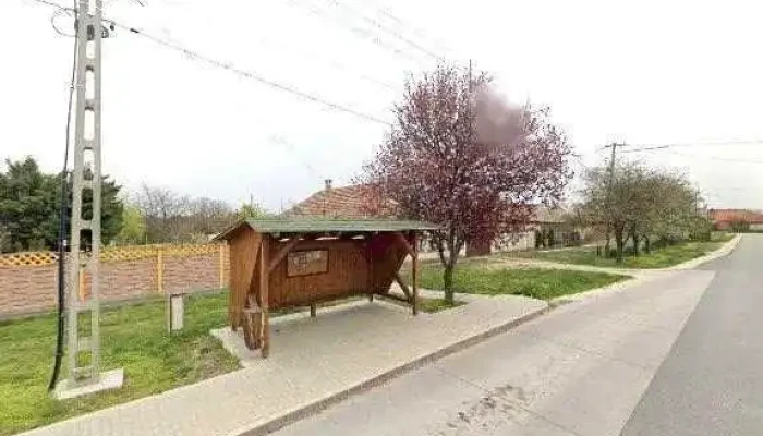 Gomba Var Ut Osszes - Gomba