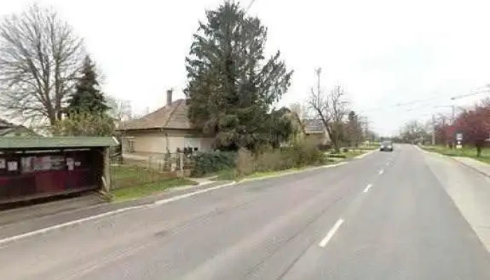 Gomba Var Ut Osszes - Gomba