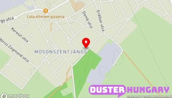 térkép Göncz Autószerviz Autószerelő ban Jánossomorja