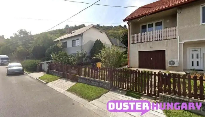 Gulácsi László - Sátoraljaújhely