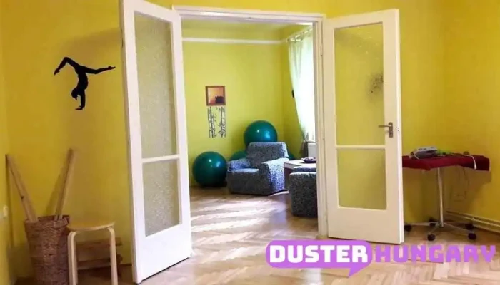 Gyogytorna A Tulajdonostol - Budapest