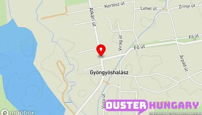 térkép Gyöngyöshalász, bejárati út Vasútállomás ban Gyöngyöshalász