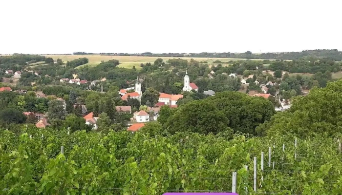 Gyönk - Gyönk