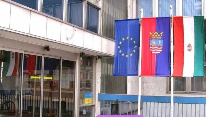 Gyor Moson Sopron Varmegyei Kormanyhivatal A Tulajdonostol - Győr