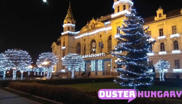 Gyor Moson Sopron Varmegyei Kormanyhivatal Epulet - Győr