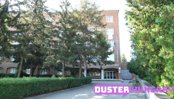 Gyori Szc Lukacs Sandor Jarmuipari Es Gepeszeti Technikum Es Kollegium Osszes - Győr