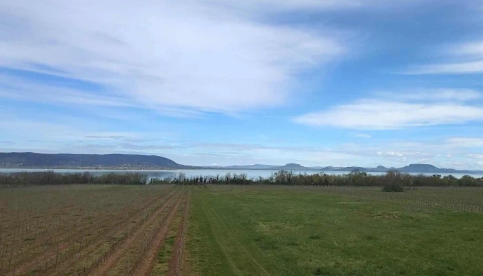 Hamvas Bela Kilato Hol - Balatonberény