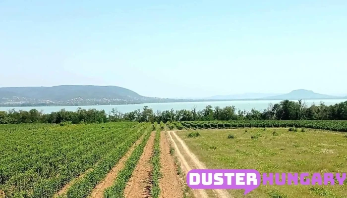 Hamvas Bela Kilato Osszes - Balatonberény
