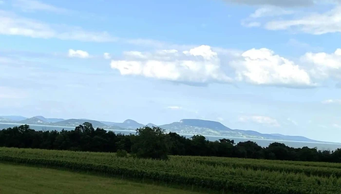 Hamvas Bela Kilato Turistalatvanyossag - Balatonberény