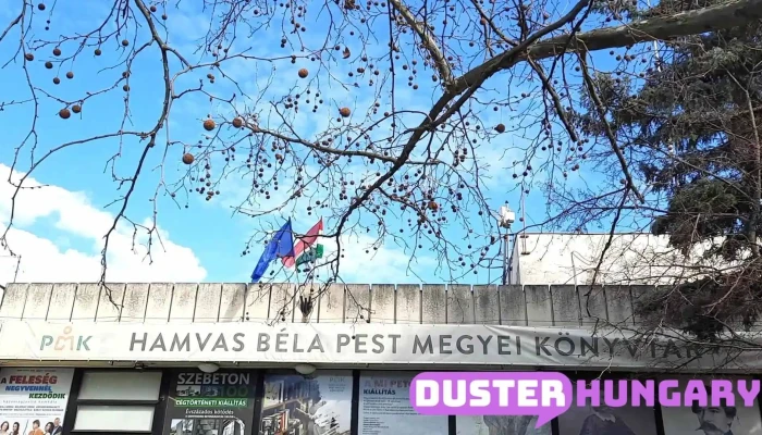 Hamvas Bela Pest Megyei Konyvtar Videok - Szentendre