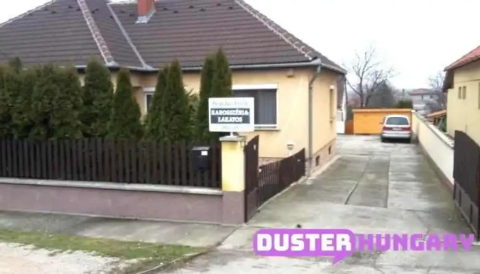 Hegedűs Attila karosszérialakatos mester - Nyúl