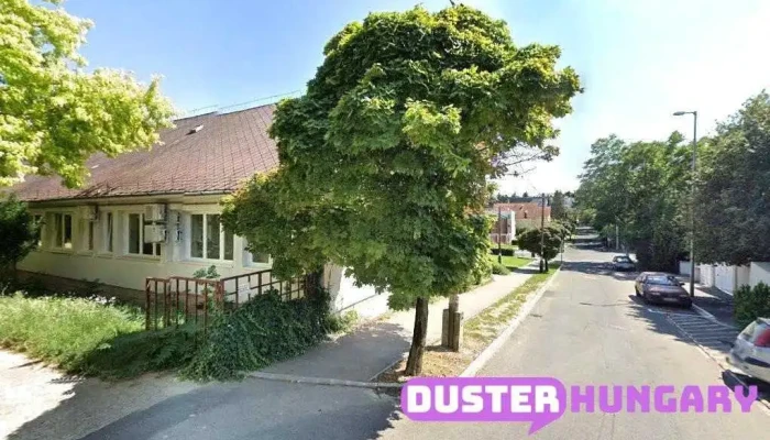 Hegedűs Vállalkozási és Kereskedelmi Kft. - Budapest
