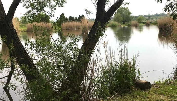 Hevizgyorki Horgaszto Lang Rana Kft Horgasztelep - Hévízgyörk