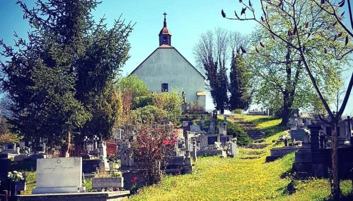 Homokterenye - Mátraterenye