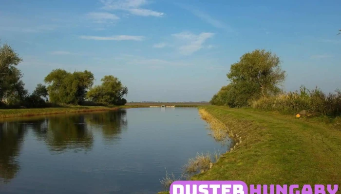 Hortobagyi Halasto Delfin Kikoto - Hungary