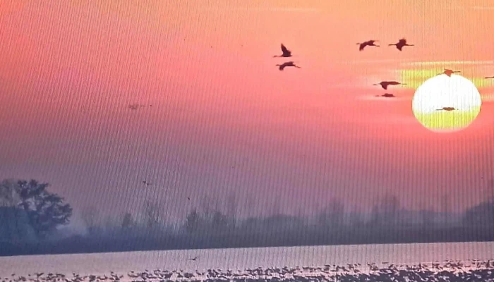 Hortobagyi Nemzeti Park Fotok - Hungary