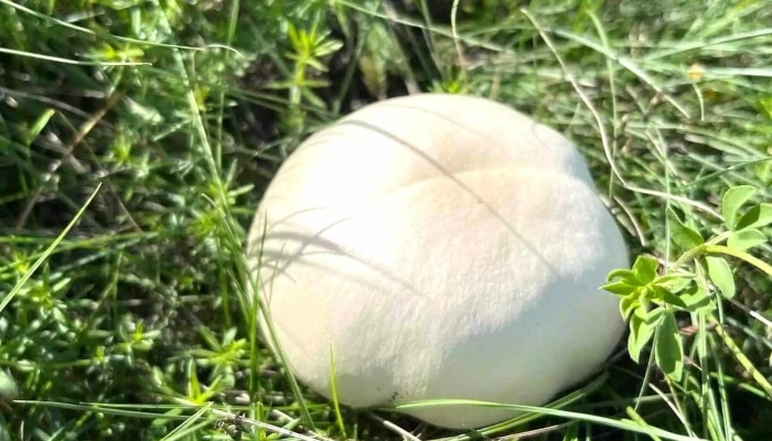 Hortobagyi Nemzeti Park Igazgatosag Pontszam - Debrecen
