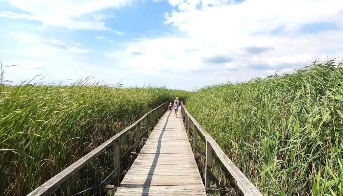 Hortobagyi Nemzeti Park Tisza Tavi Vizi Setany - Hungary