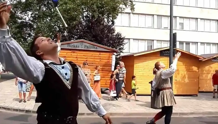 Iseum Savariense Regeszeti Muhely Es Tarhaz Videok - Szombathely