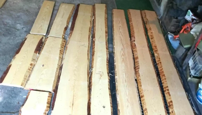 Jaf Holz Ungarn Kft Pontszam - Mályi