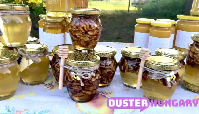 Jaszapati Vasarter Videok - Jászapáti