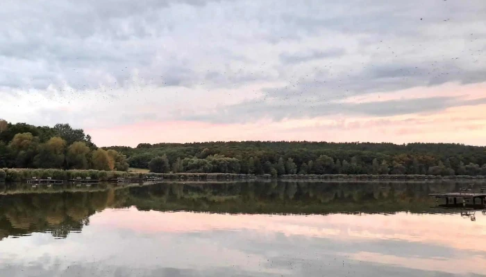 Jenoi To Katalogus - Diósjenő