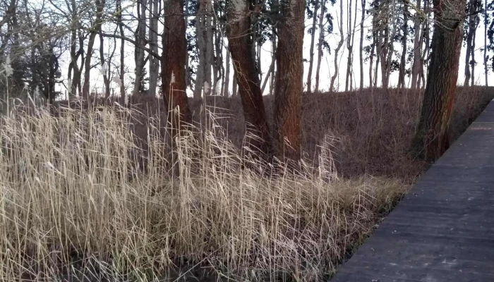 Karcsa -  Csatorna Hozzaszolasok - Karcsa