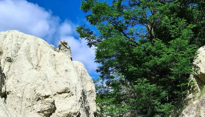 Kazar Cim - Kazár