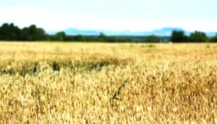 Kéthelyihegy - Magyarország